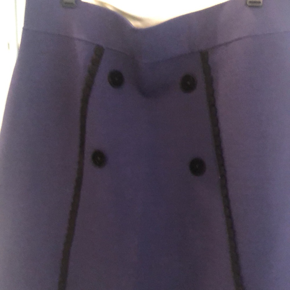 NWOT SANDRO SHORTER SKIRT